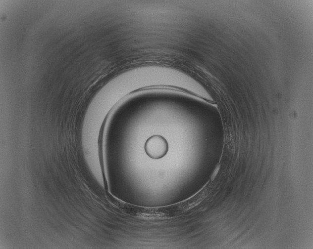 X0000082680556200702091635