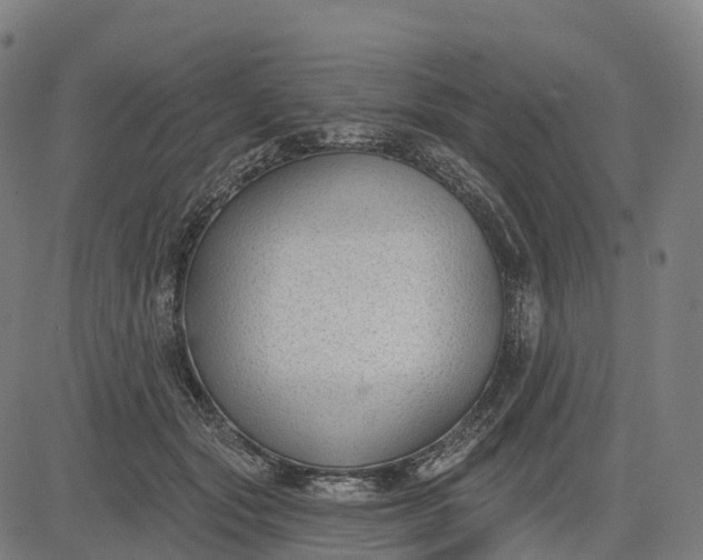 X0000082680557200702091635