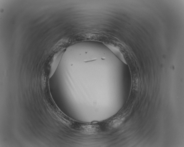 X0000082680558200702091635