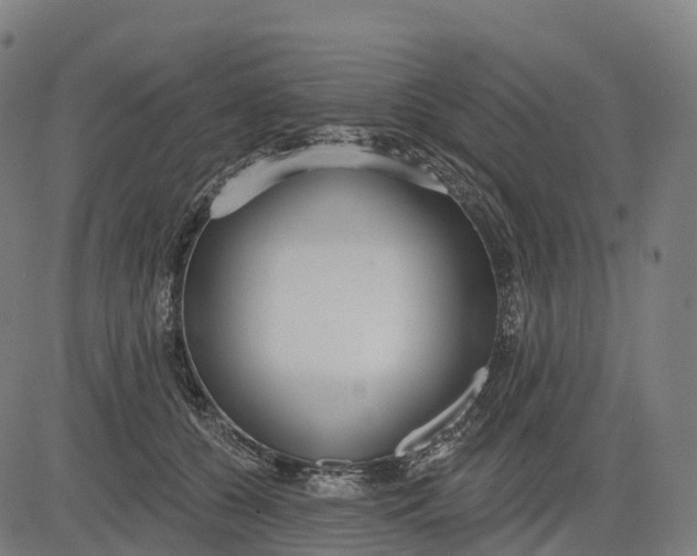 X0000082680560200702091635