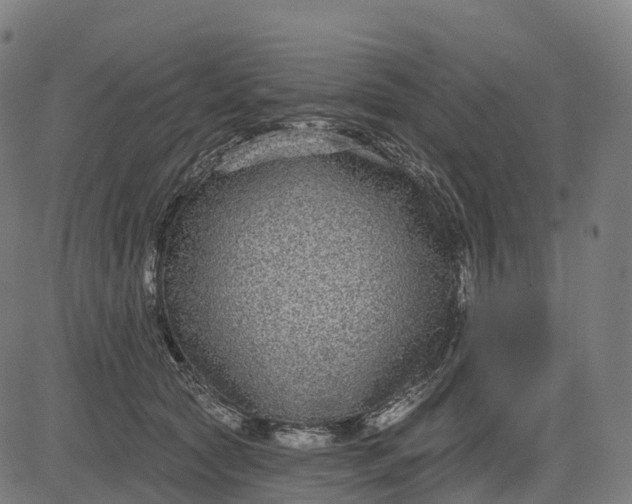 X0000082680561200702091635