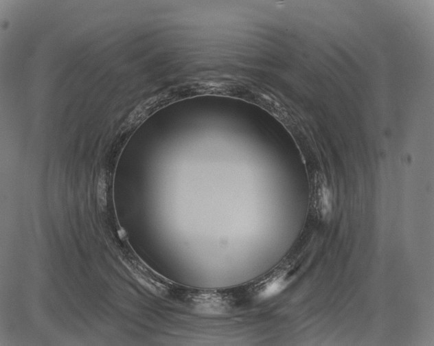 X0000082680562200702091635