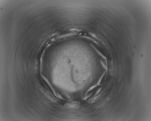 X0000082680563200702091635