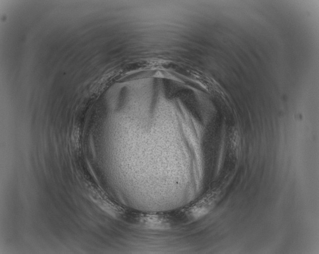 X0000082680565200702091635