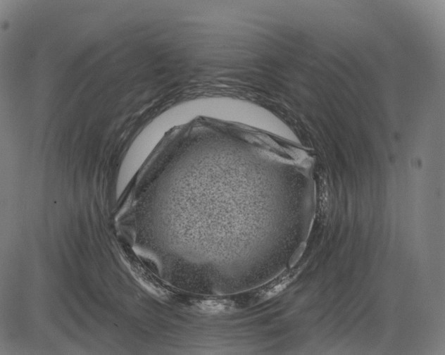 X0000082680566200702091635