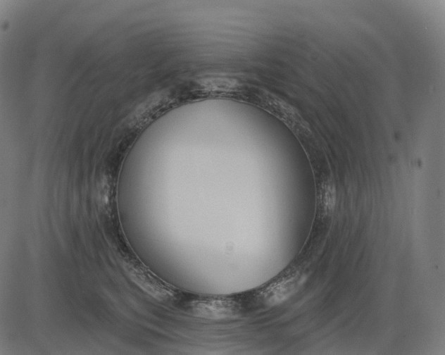 X0000082680567200702091635