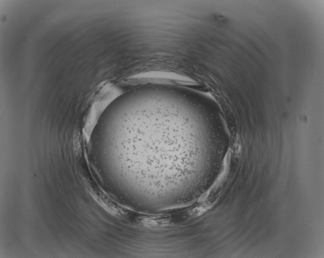 X0000082680568200702091635