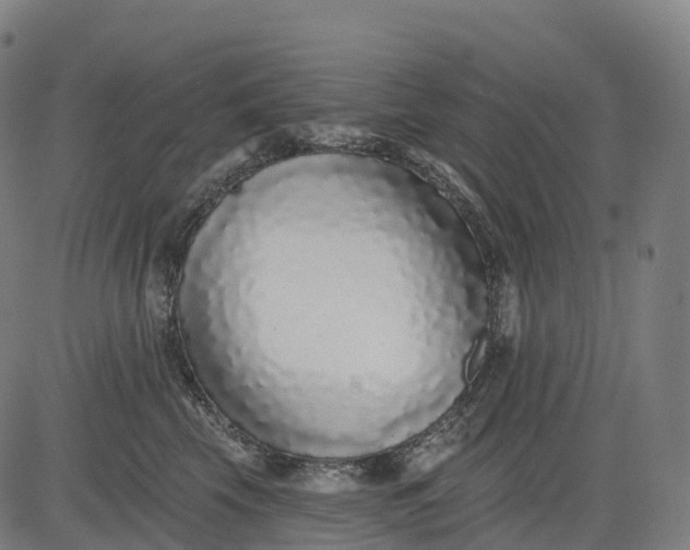 X0000082680569200702091635