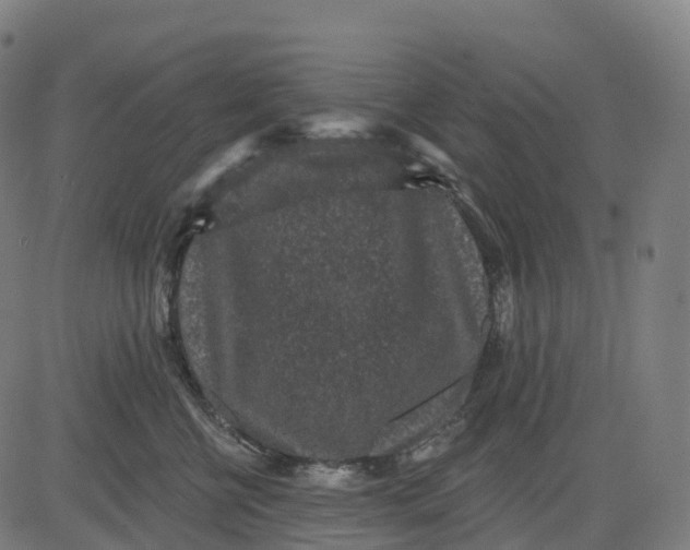 X0000082680570200702091635