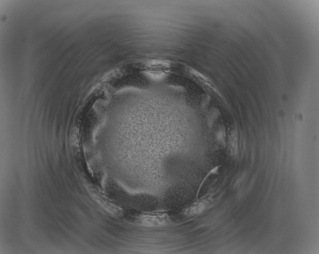 X0000082680571200702091635