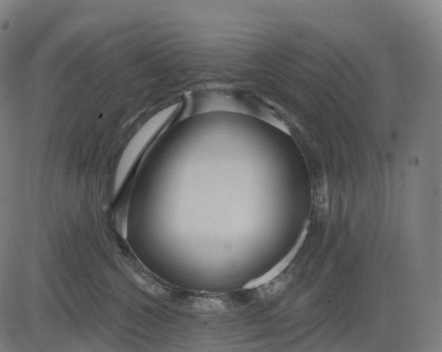 X0000082680572200702091635