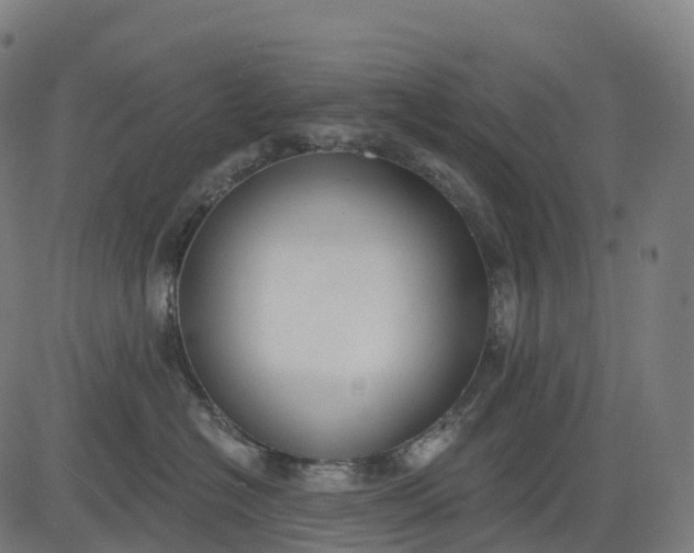 X0000082680574200702091635