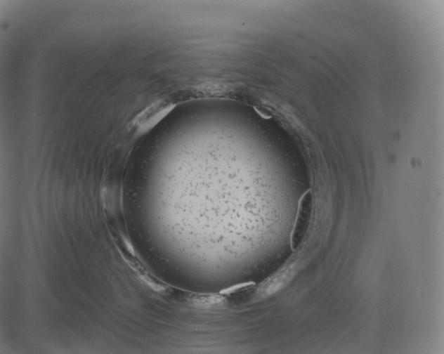 X0000082680576200702091635