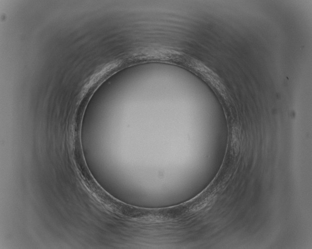 X0000082680578200702091634