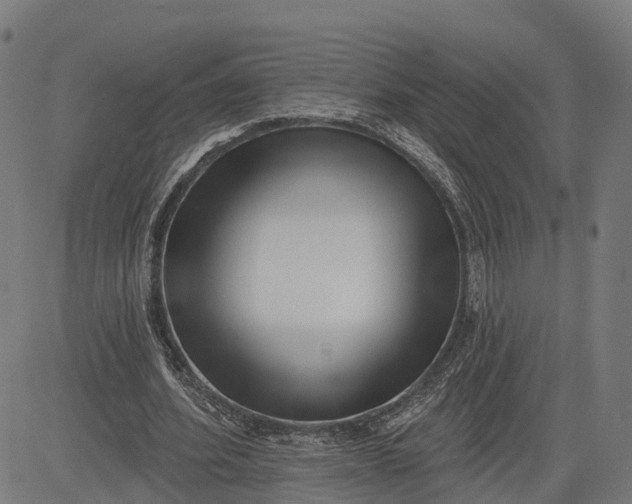 X0000082680580200702091634