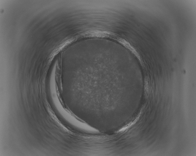 X0000082680581200702091634