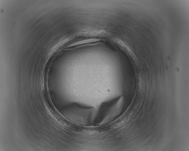 X0000082680582200702091634