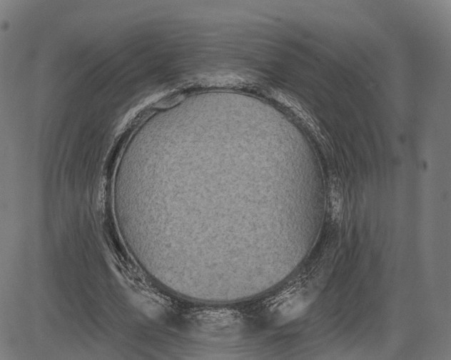 X0000082680583200702091634