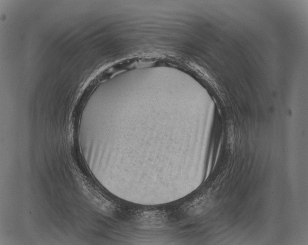 X0000082680584200702091634