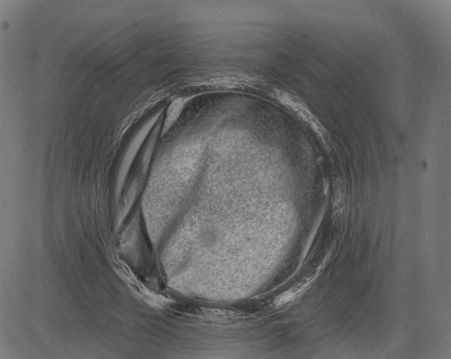 X0000082680585200702091634