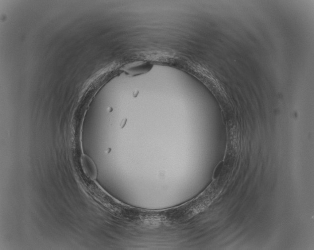 X0000082680587200702091634