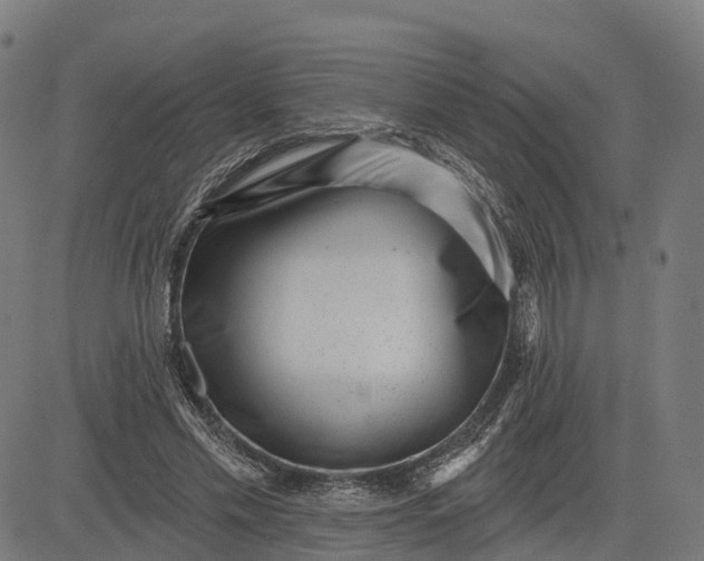 X0000082680589200702091634