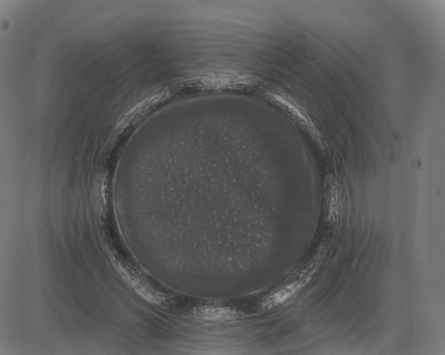 X0000082680590200702091634