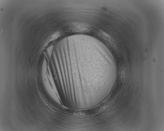 X0000082680591200702091634