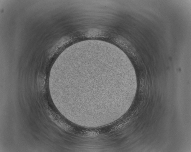 X0000082680592200702091634