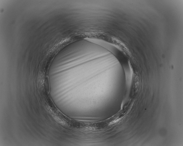 X0000082680593200702091634