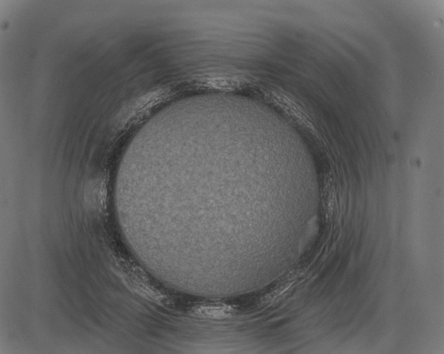 X0000082680595200702091634