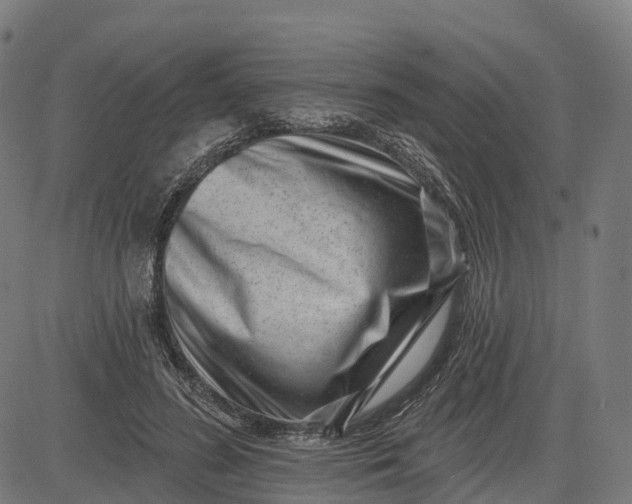 X0000082680596200702091634