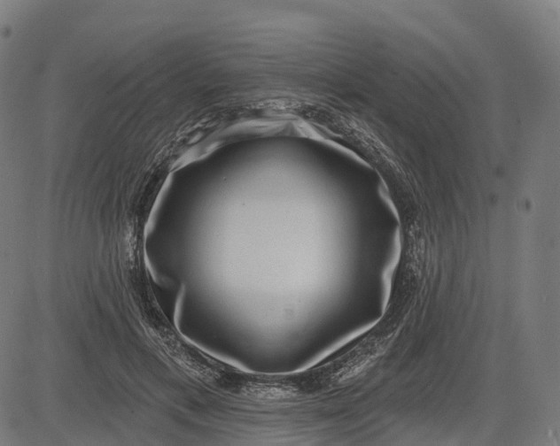 X0000082680597200702091634