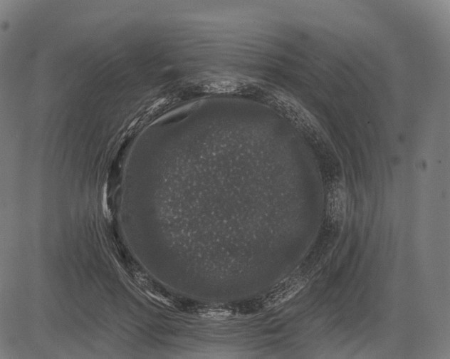 X0000082680598200702091634