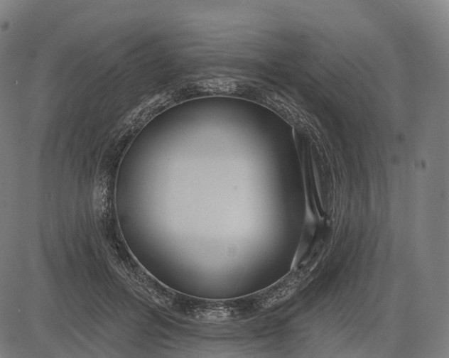 X0000082680600200702091634