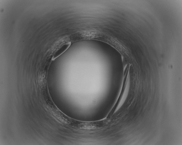 X0000082680601200702091634