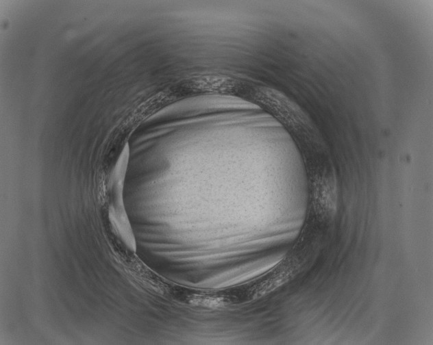 X0000082680602200702091634