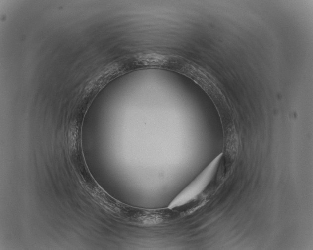 X0000082680604200702091634