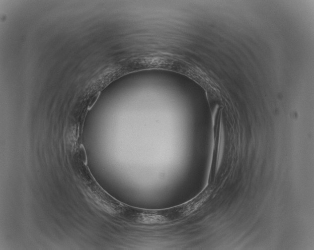 X0000082680605200702091634