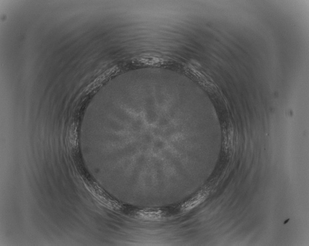 X0000082680606200702091634