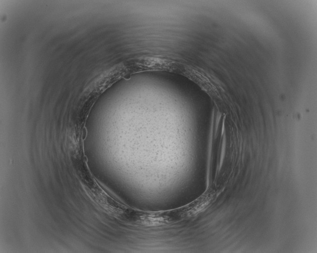 X0000082680607200702091634