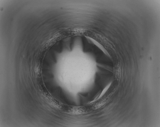 X0000082680608200702091634