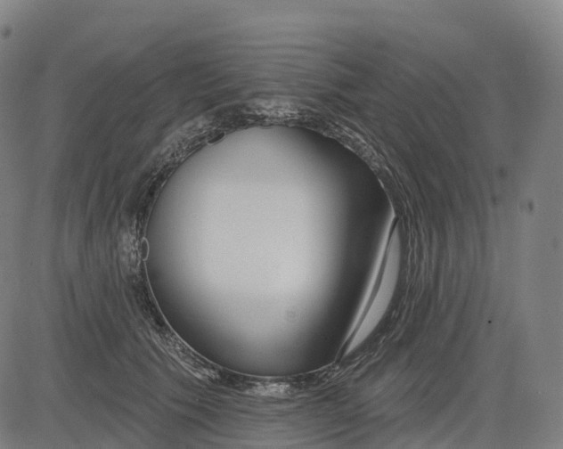 X0000082680609200702091634