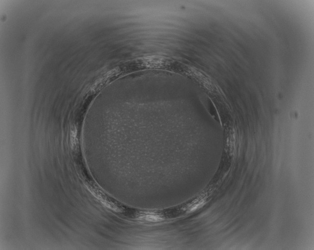 X0000082680610200702091634