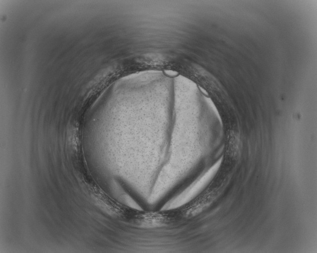 X0000082680612200702091634