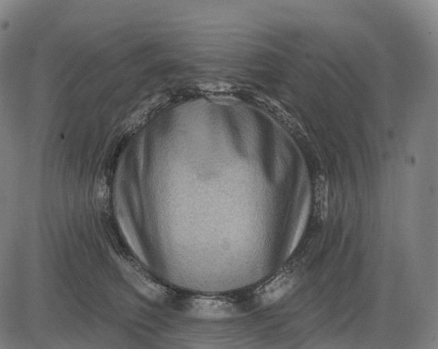 X0000082680614200702091634