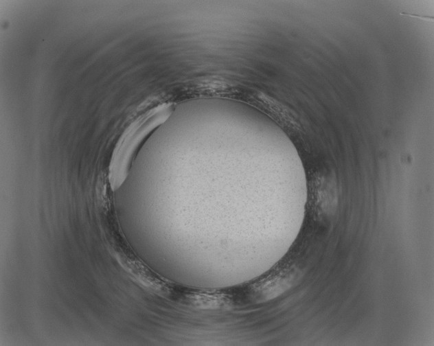 X0000082680615200702091634