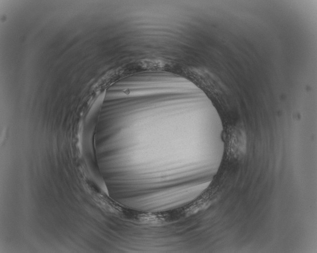 X0000082680616200702091634