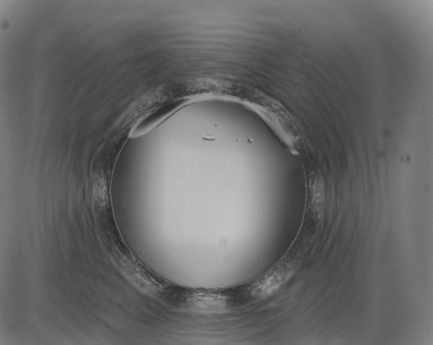 X0000082680617200702091634