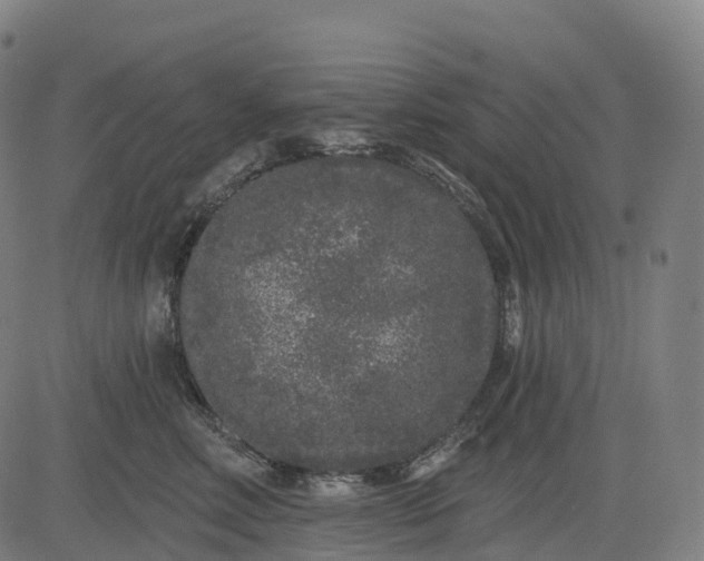 X0000082680618200702091634